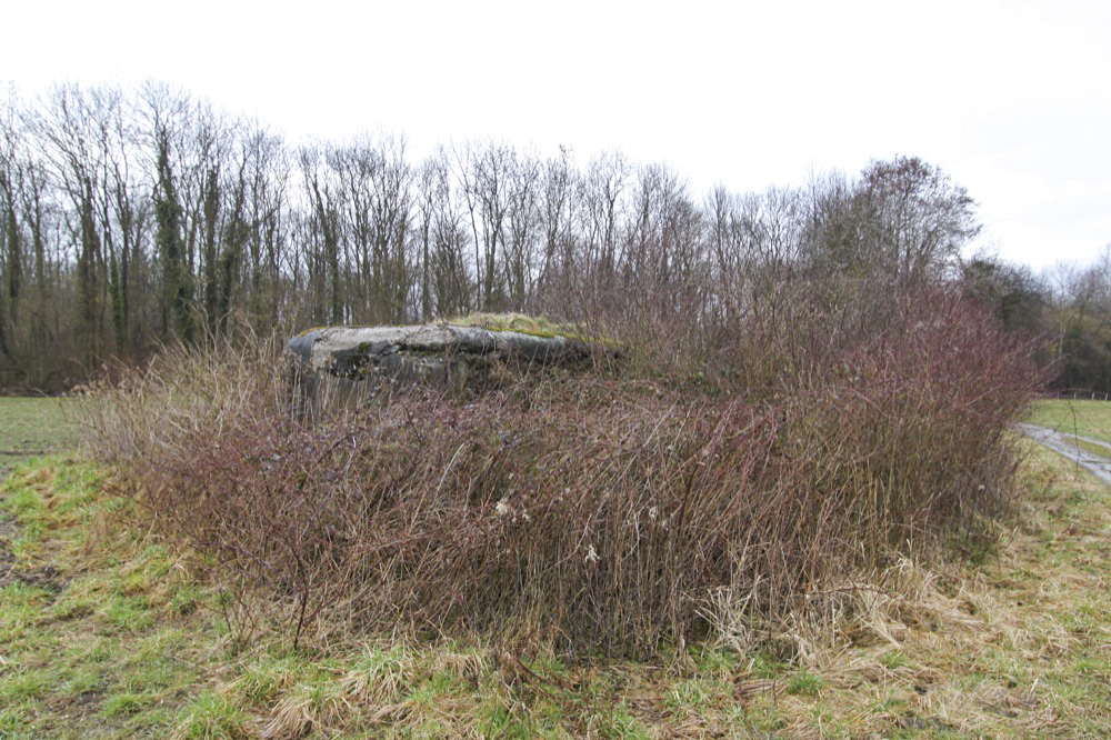Ligne Maginot - LILIENFELD SUD - (Blockhaus pour arme infanterie) - 