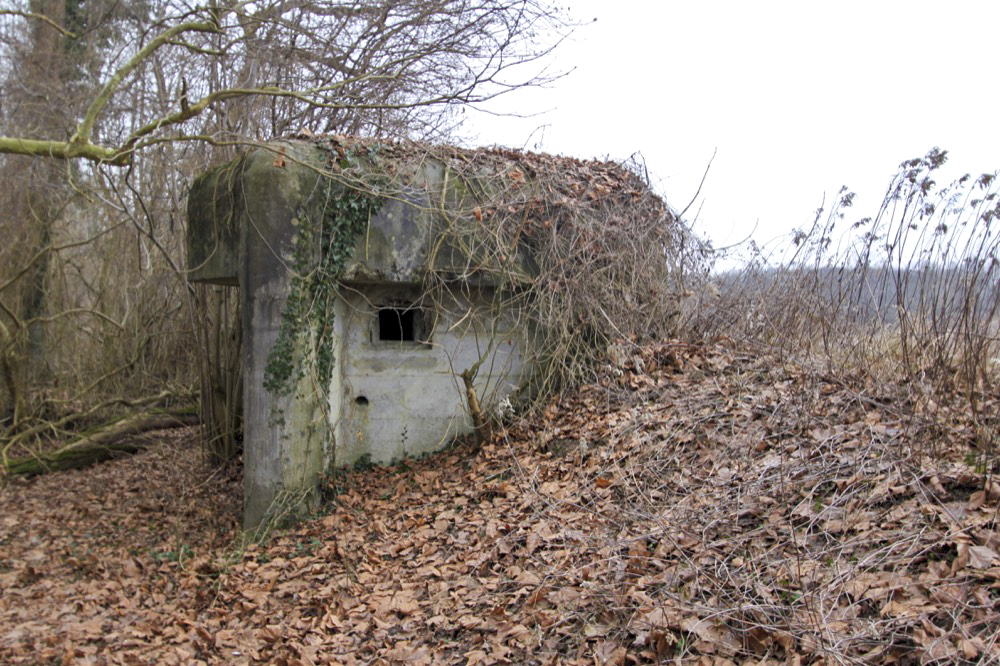 Ligne Maginot - ROHRKOPF SUD - (Blockhaus pour arme infanterie) - 