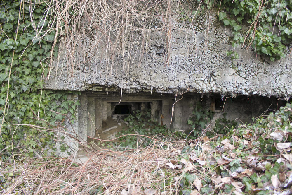 Ligne Maginot - SCHWANG - (Blockhaus pour arme infanterie) - 