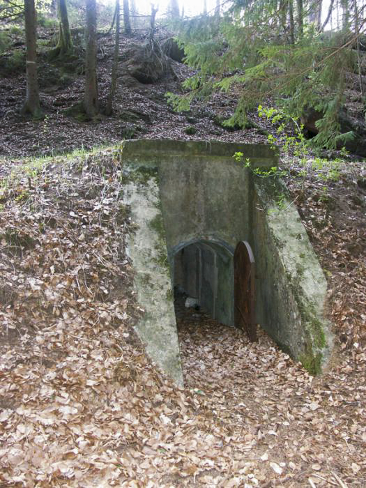Ligne Maginot - Le DMP de l'Erbsenberg - Vue extérieure de l'un des dispositifs