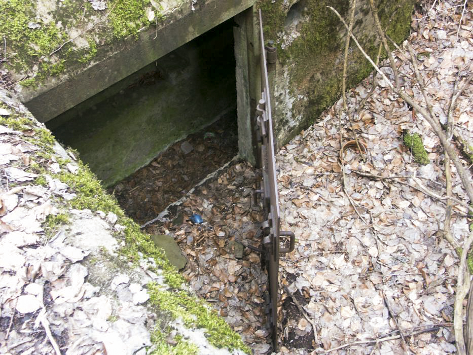 Ligne Maginot - DACHSECK 1 (Blockhaus pour canon) - Entrée pour canon
Détail de la porte