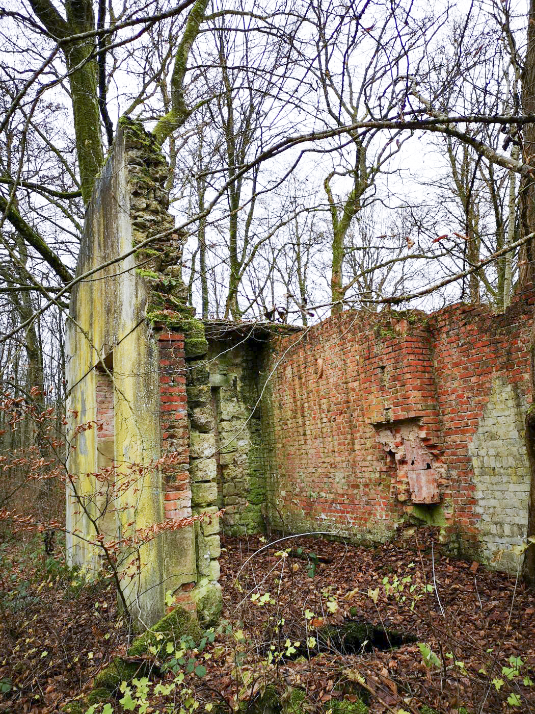 Ligne Maginot - VIRMING - (Dépôt de Munitions) - Ruines de la maison de gardien / bâtiment administratif