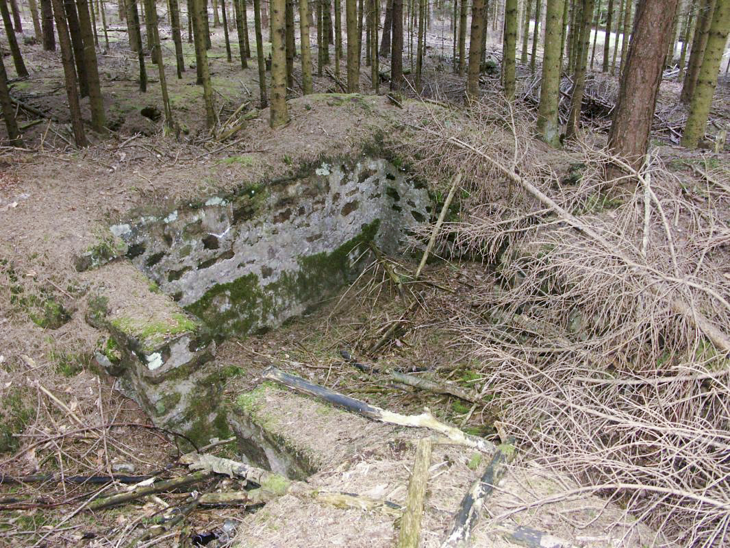 Ligne Maginot - Blockhaus de ERBSENTHAL 2 - Cuve maçonnée pour arme d'infanterie