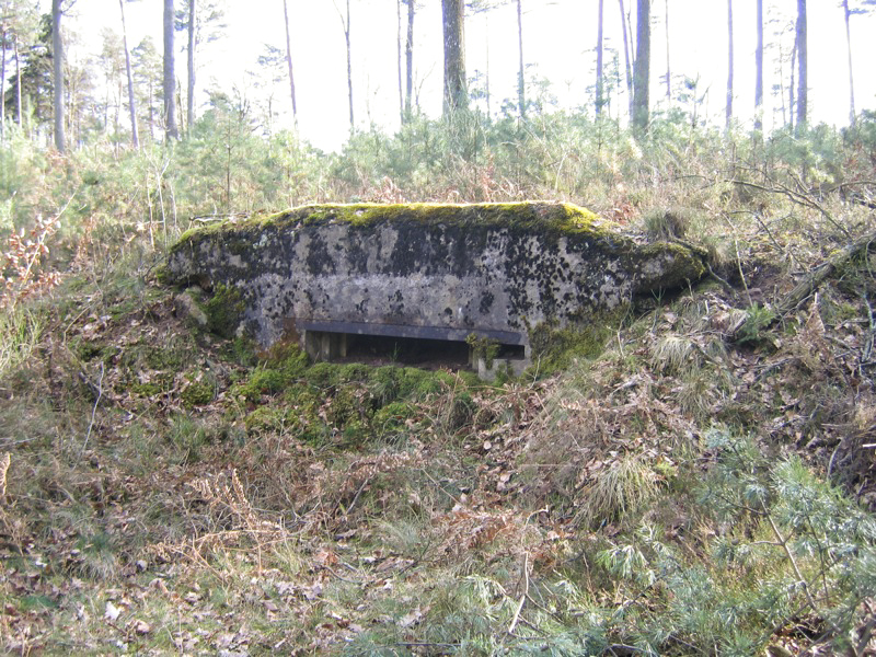 Ligne Maginot - GRAFENWEIHER 2 (Blockhaus pour canon) - 