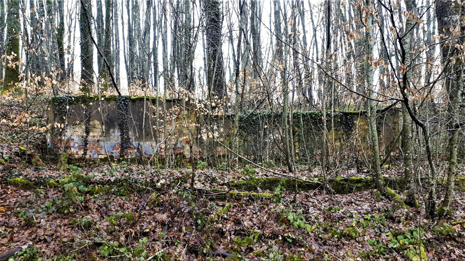 Ligne Maginot - FREUDENBERG (QUARTIER SCHIESSECK - I/37° RIF) - (Abri) - Ruine d'un baraquement à proximité des entrées
