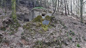 Ligne Maginot - M13 - NONNENHARDT OUEST 2 - (Blockhaus pour arme infanterie) - Le blockhaus vue depuis le chemin forestier en contrebas