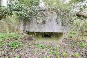 Ligne Maginot - RHIN TORTU 2 - (Blockhaus pour arme infanterie) - 