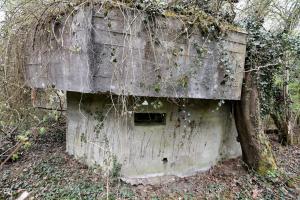 Ligne Maginot - RHIN TORTU 1 - (Blockhaus pour arme infanterie) - 