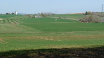 Ligne Maginot - O115 - BOIS DE KANFEN NORD - (Observatoire d'artillerie) - Le champ d'observation en direction du Luxembourg...