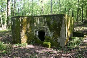 Ligne Maginot - KANFENER BUSCH 2 - (Blockhaus pour arme infanterie) - Vue frontale du blockhaus. L'embrasure a été détruite.