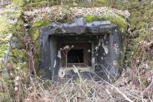 Ligne Maginot - WEIHERSTHAL Sud (Blockhaus pour canon) - 