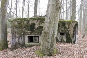 Ligne Maginot - KISSWALD 1 (AVANT POSTE) - (Blockhaus pour canon) - Façade de tir