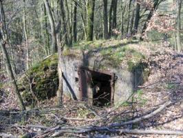 Ligne Maginot - C11 - PETIT MUEHLBERG SUD - (Blockhaus pour canon) - L'accès arrière du blockhaus