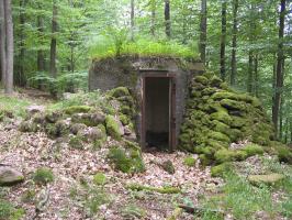 Ligne Maginot - FM39 - DIEBSKOPF 1 - (Blockhaus pour arme infanterie) - L'entrée en partie protégée par le rocaillage