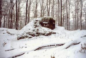 Ligne Maginot - FM39 - DIEBSKOPF 1 - (Blockhaus pour arme infanterie) - Vue de face