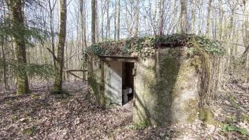 Ligne Maginot - C8 - NONNENHARDT MAISON FORESTIERE 2 - (Blockhaus pour canon) - L'entrée