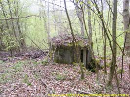 Ligne Maginot - FM9 - HIRTENMATT 1 - (Blockhaus pour arme infanterie) - Vue vers l'entrée