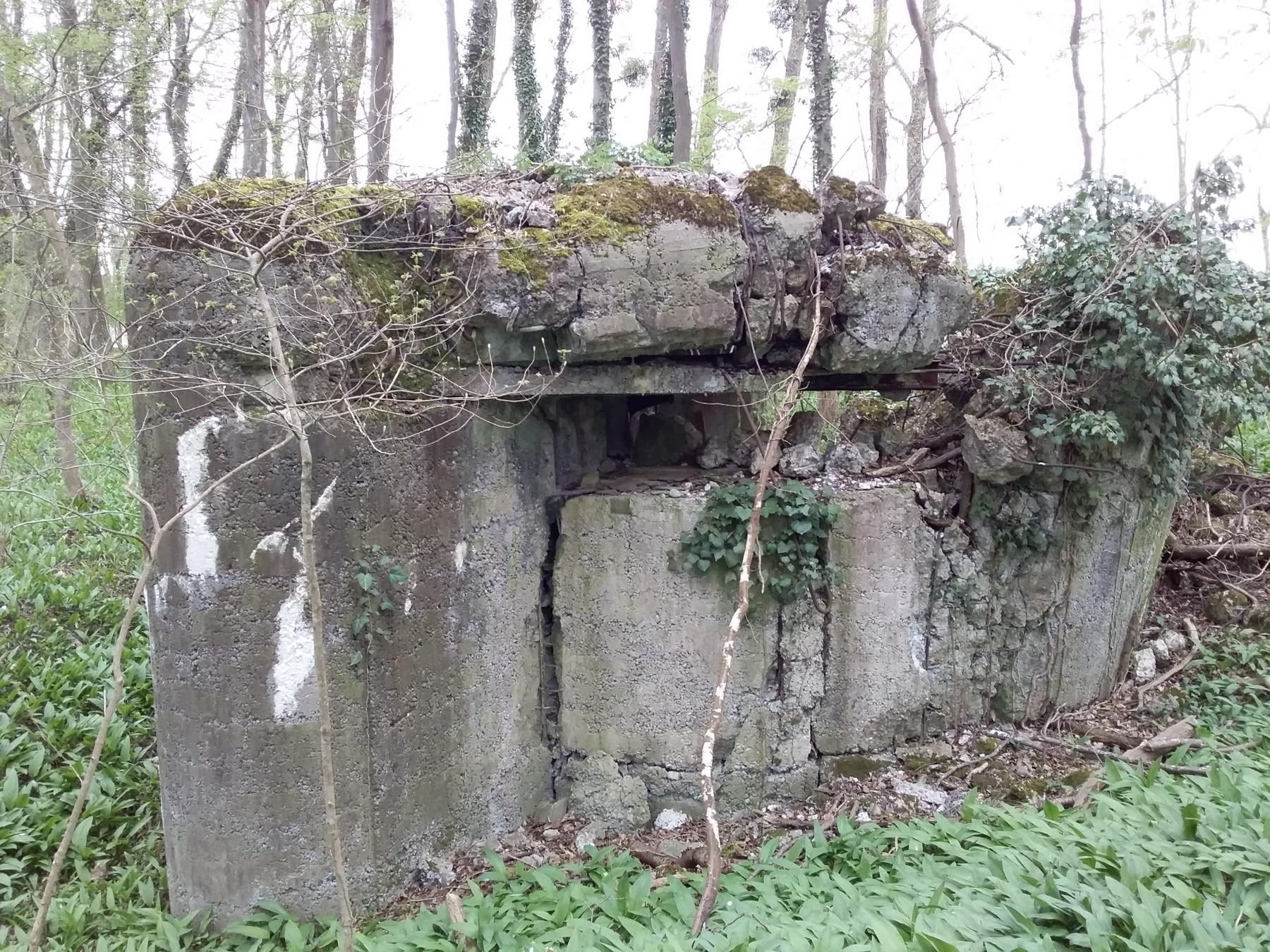 Ligne Maginot - WALDSBURGER SUD - (Blockhaus pour arme infanterie) - 
