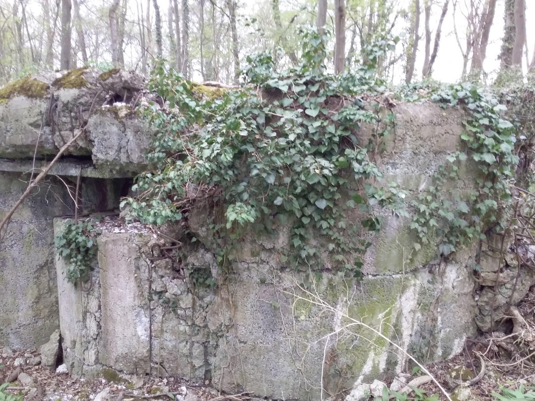Ligne Maginot - WALDSBURGER SUD - (Blockhaus pour arme infanterie) - 
