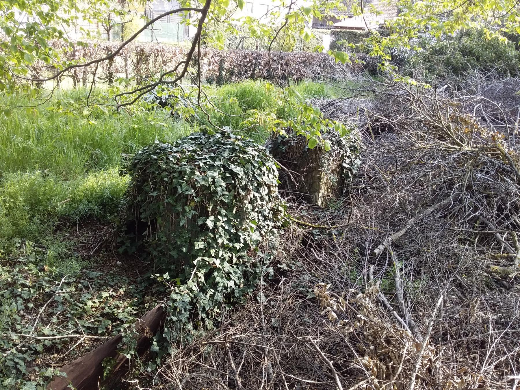 Ligne Maginot - BALDENHEIM (42° RIF PUIS 242° RI) - (PC de Sous-Secteur) - Reste de l'abri 3