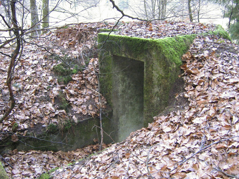 Ligne Maginot - NEUNHOFFEN NORD OUEST 2 - (Blockhaus pour arme infanterie) - 