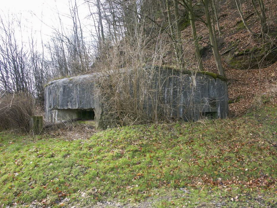 Ligne Maginot - PHILIPPSBOURG (Blockhaus pour canon) - Vue d'ensemble du blockhaus