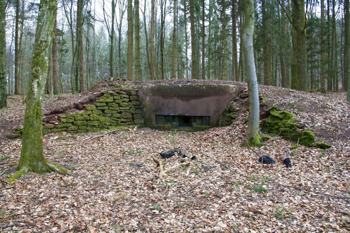 Ligne Maginot - WINECKERTHAL 2 - (Blockhaus pour arme infanterie) - 