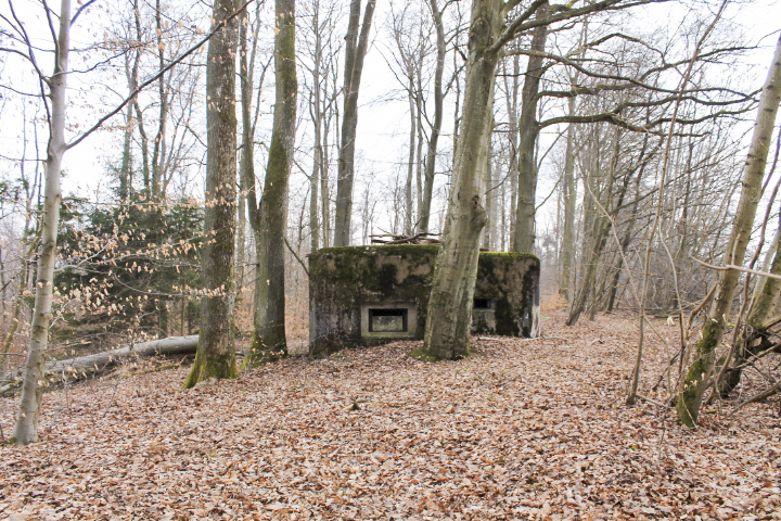 Ligne Maginot - KISSWALD 1 (AVANT POSTE) - (Blockhaus pour canon) - Vue générale