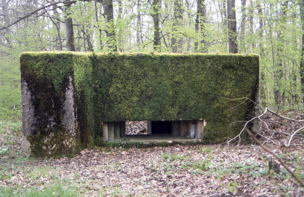 Ligne Maginot - CB249 - HELMREICH 2 - (Blockhaus pour canon) - Vue frontale du créneau