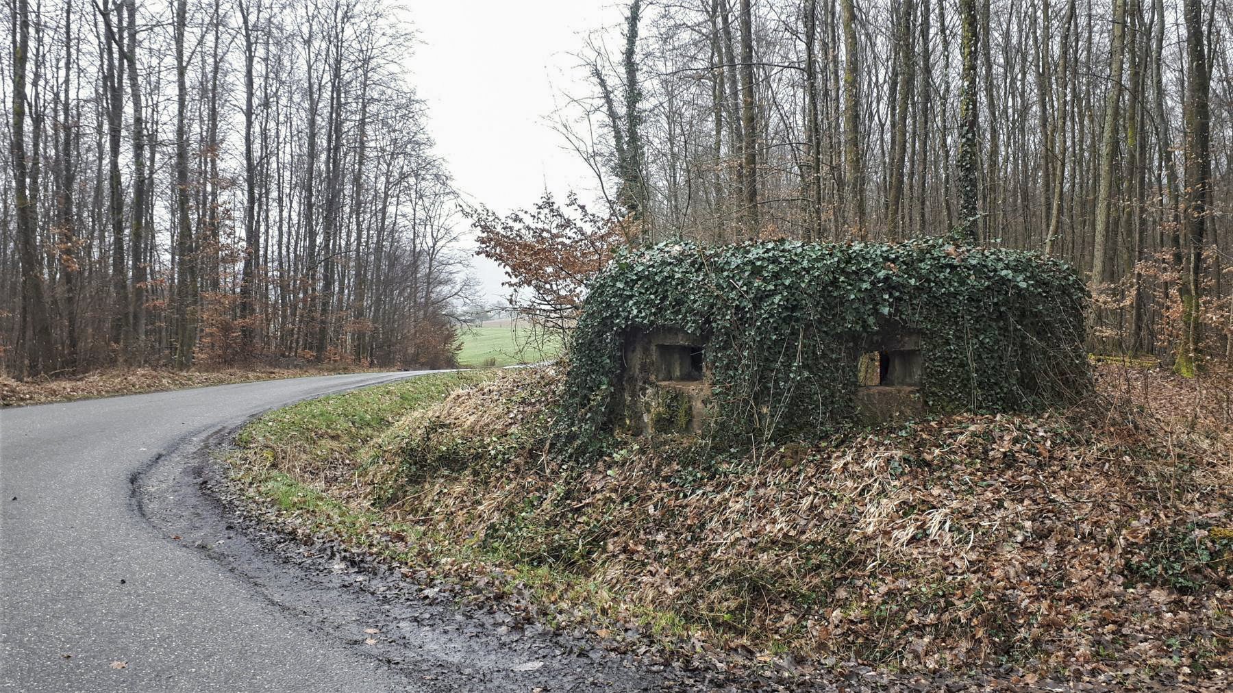 Ligne Maginot - BOIS DE LANGENSOULTZBACH 5 - (Blockhaus pour arme infanterie) - Vue sur le créneau frontal et latéral gauche