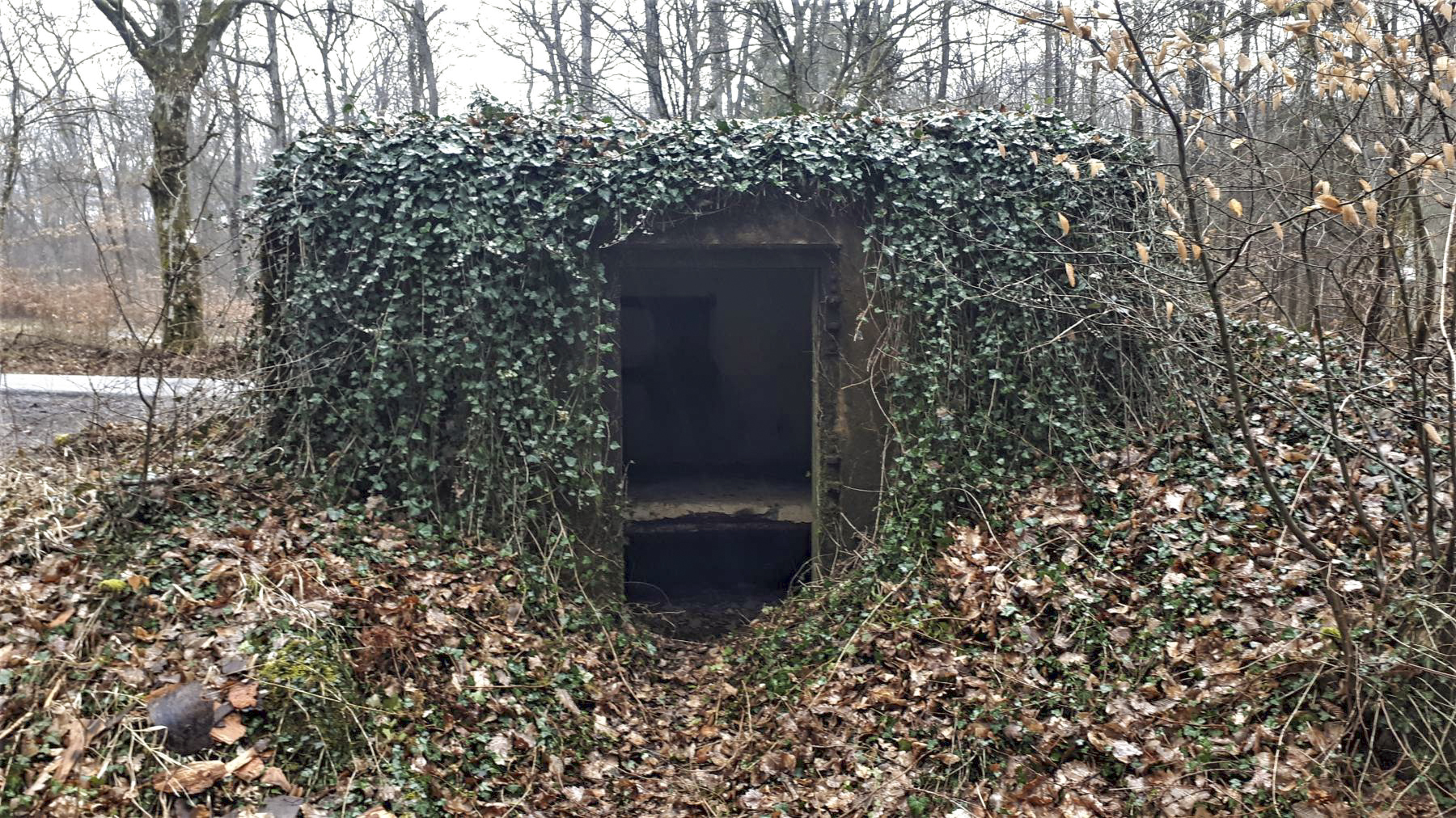 Ligne Maginot - BOIS DE LANGENSOULTZBACH 5 - (Blockhaus pour arme infanterie) - L'entrée