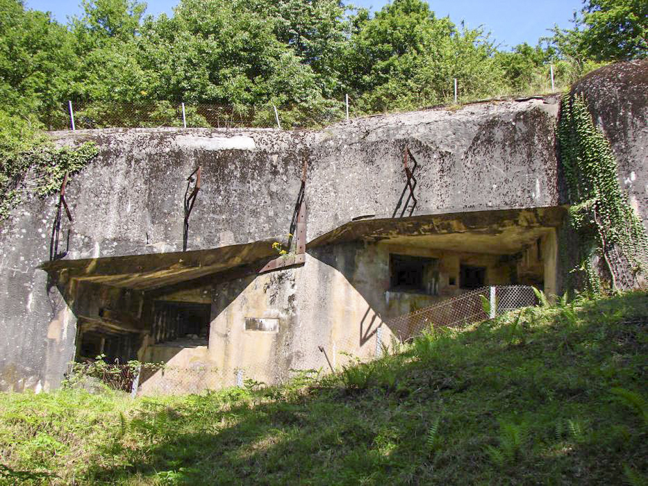 Ligne Maginot - Ouvrage d'artillerie du HACKENBERG - Bloc 21
Vue d'ensemble.