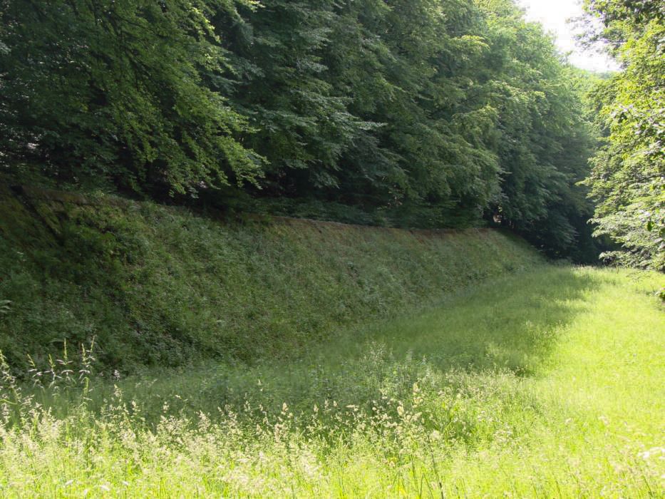 Ligne Maginot - HACKENBERG - A19 (Ouvrage d'artillerie) - Vue du fossé antichar depuis le bloc 23 vers le bloc 24.