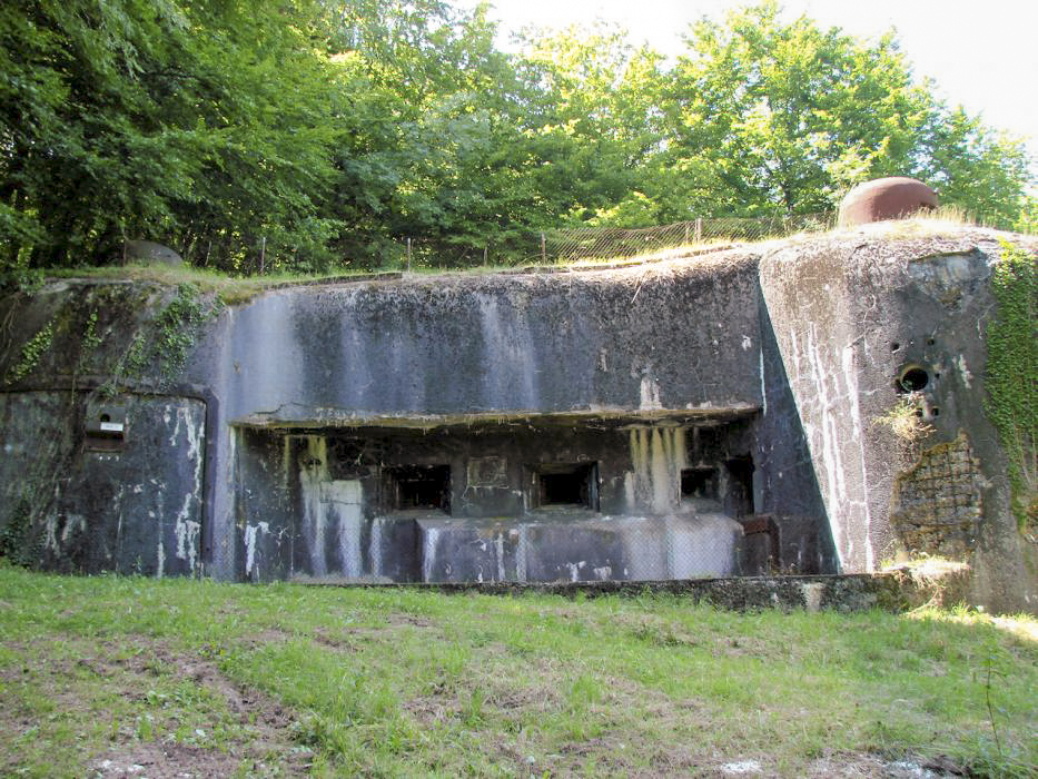 Ligne Maginot - HACKENBERG - A19 (Ouvrage d'artillerie) - Bloc 24
Vue d'ensemble.