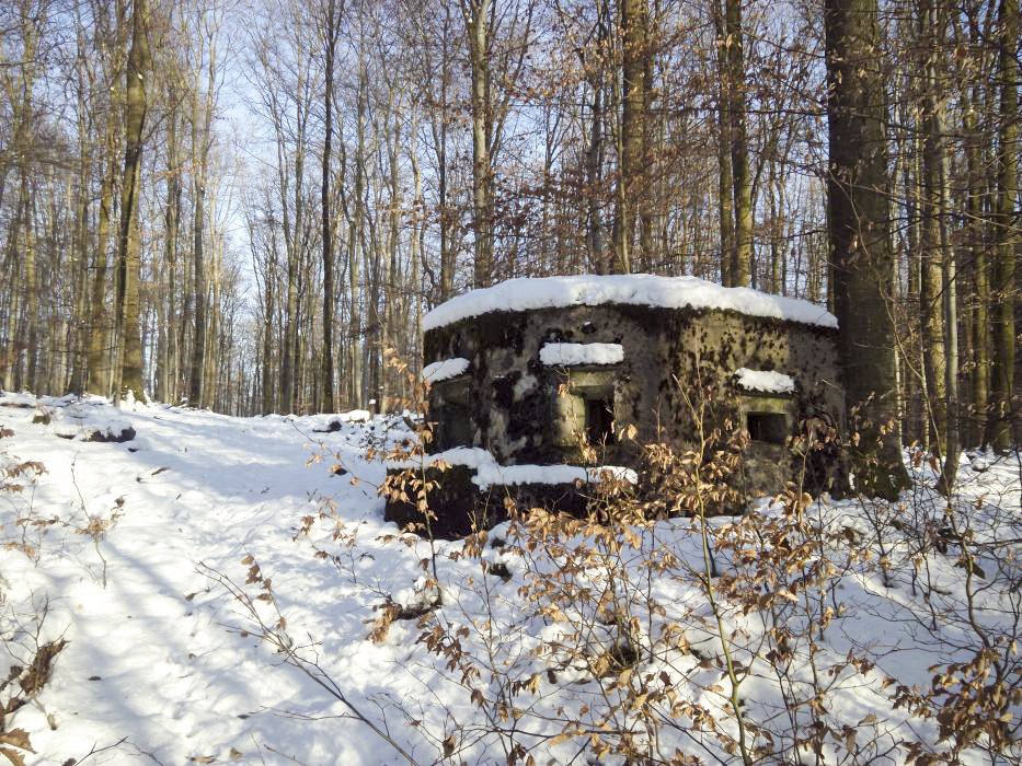 Ligne Maginot - FM33 - NONNENHARDT CENTRE 3 - (Blockhaus pour arme infanterie) - Vue coté gauche
