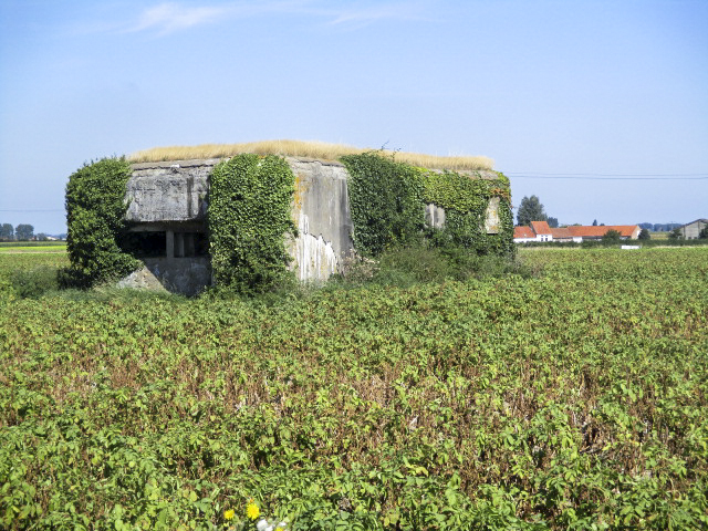 Ligne Maginot - A2 - HONDSCHOOTE (Blockhaus pour canon) - 