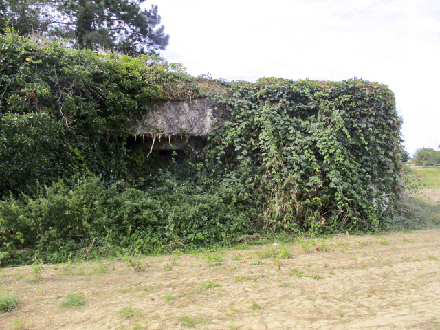 Ligne Maginot - A4 - OOST CAPPEL (Blockhaus pour canon) - 