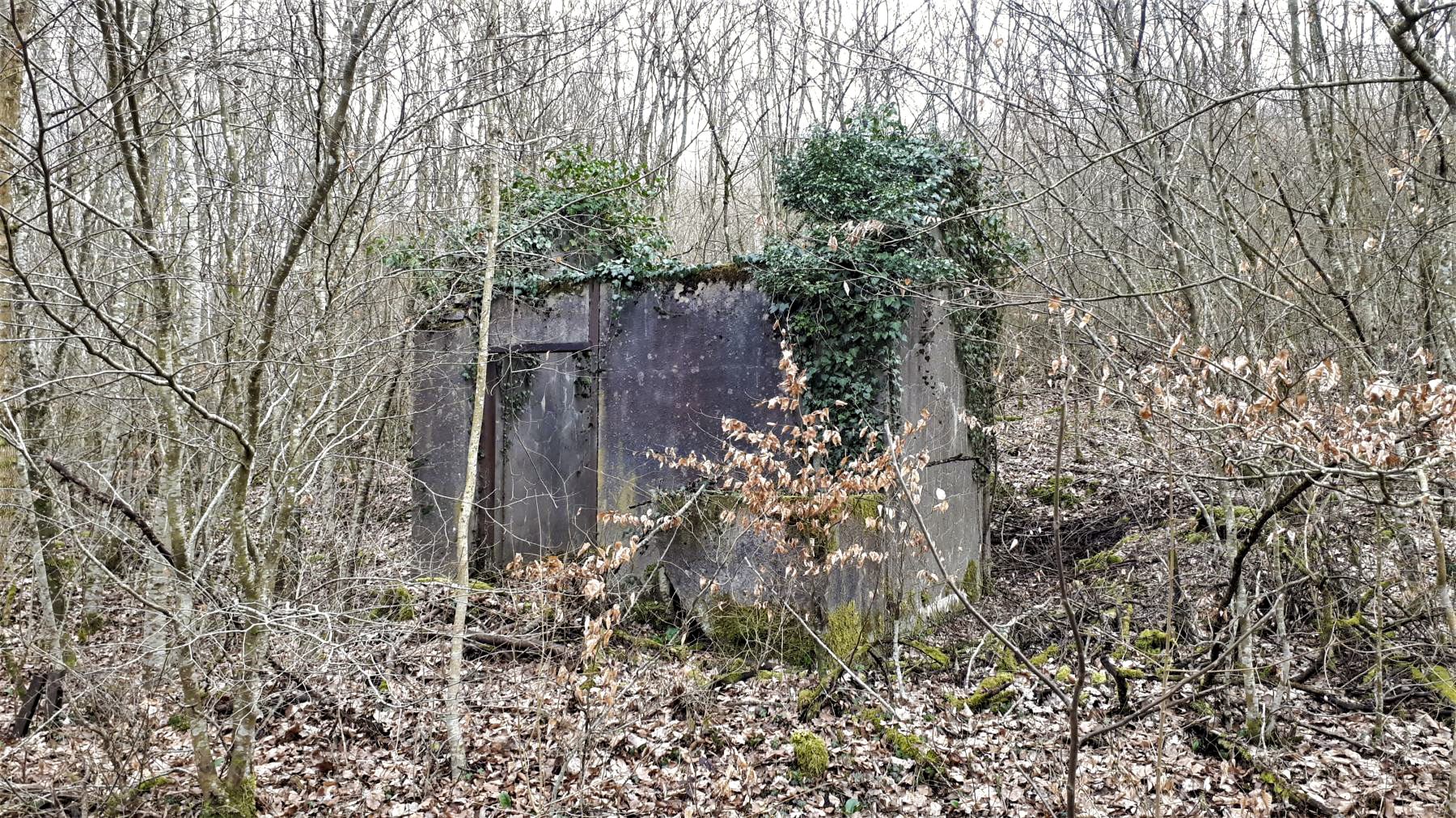 Ligne Maginot - FROESCHWILLER - (Dépôt de Munitions) - Bâtiment de stockage des munitions