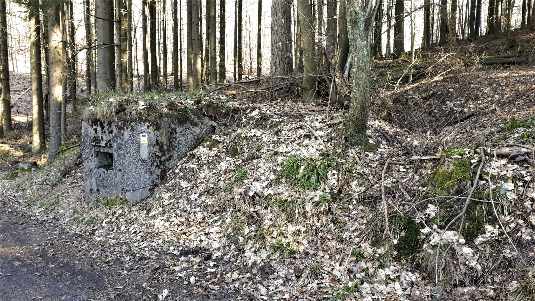 Ligne Maginot - M14 - GUNSTHAL 2 - (Blockhaus pour arme infanterie) - La tranchée d'accès est en partie visible sur la droite