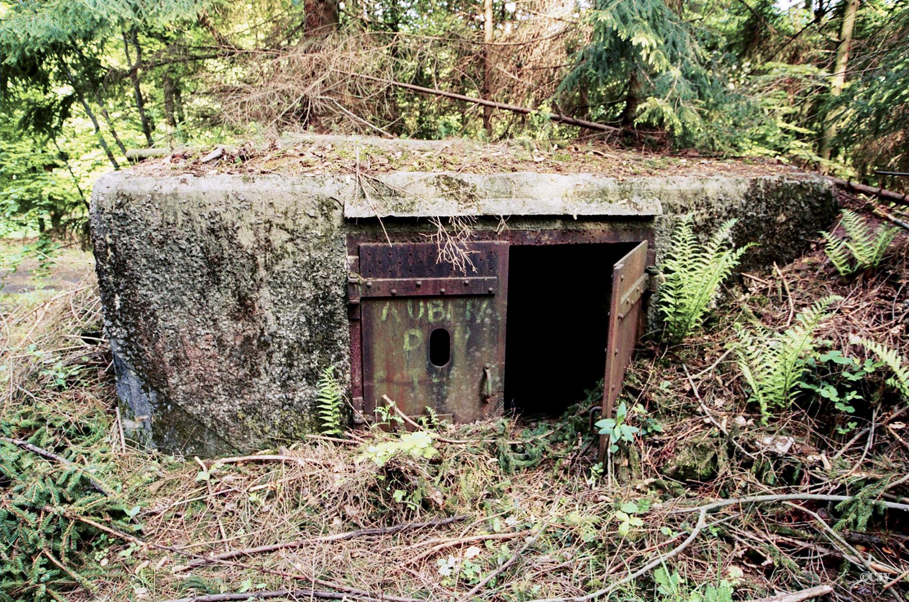 Ligne Maginot - C10 - GUNSTHAL 3 - (Blockhaus pour canon) - L'entrée