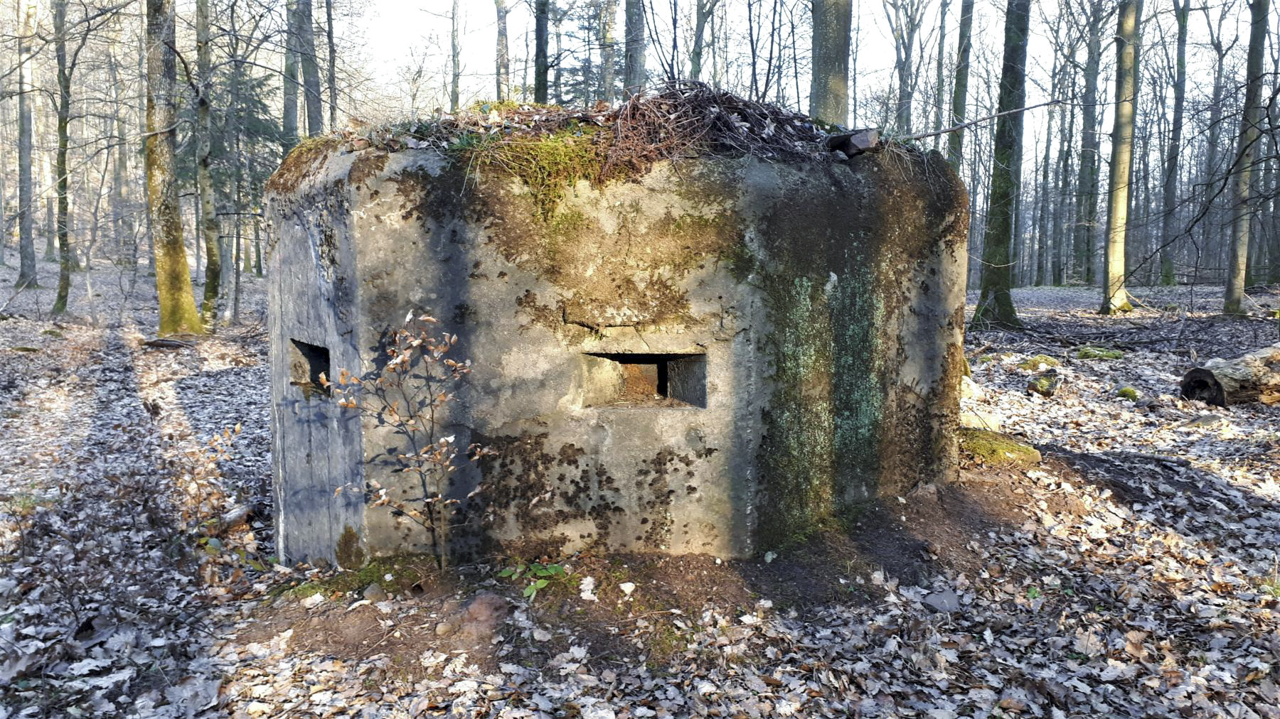 Ligne Maginot - GUNSTHAL 4 - (Blockhaus pour arme infanterie) - Créneau latéral gauche