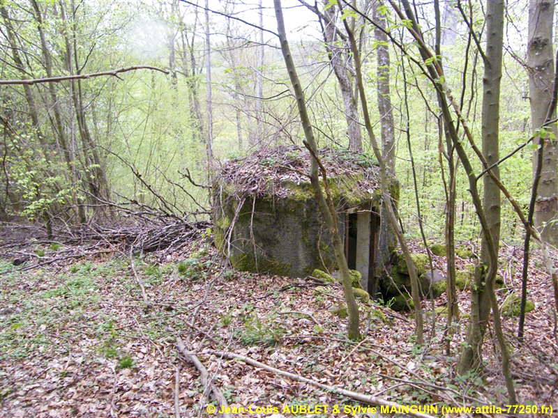 Ligne Maginot - FM9 - HIRTENMATT 1 - (Blockhaus pour arme infanterie) - Vue vers l'entrée