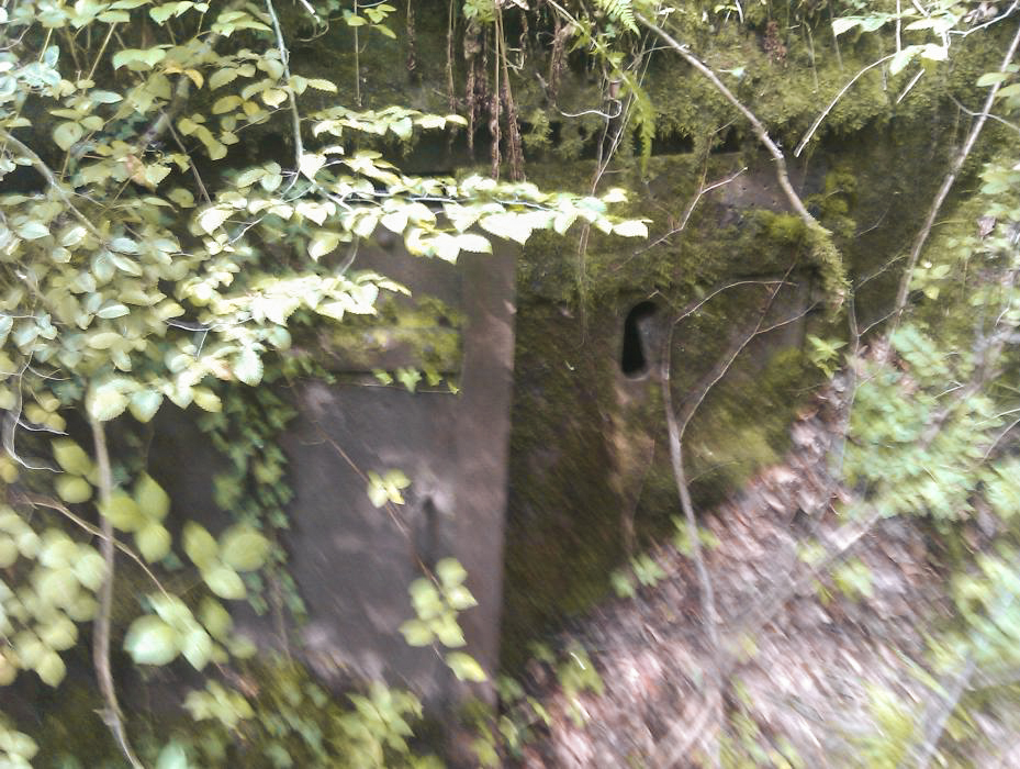 Ligne Maginot - KUHBRUCK Ouest (Blockhaus pour canon) - 
