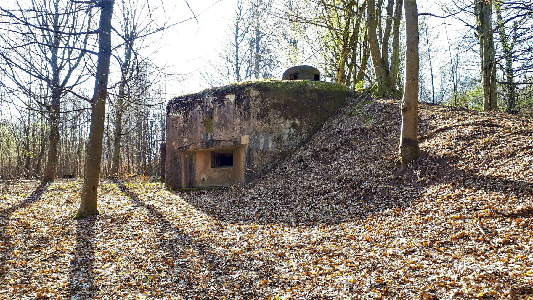Ligne Maginot - NONNENHARDT N°3 - (Blockhaus pour arme infanterie) - Chambre de tir Est