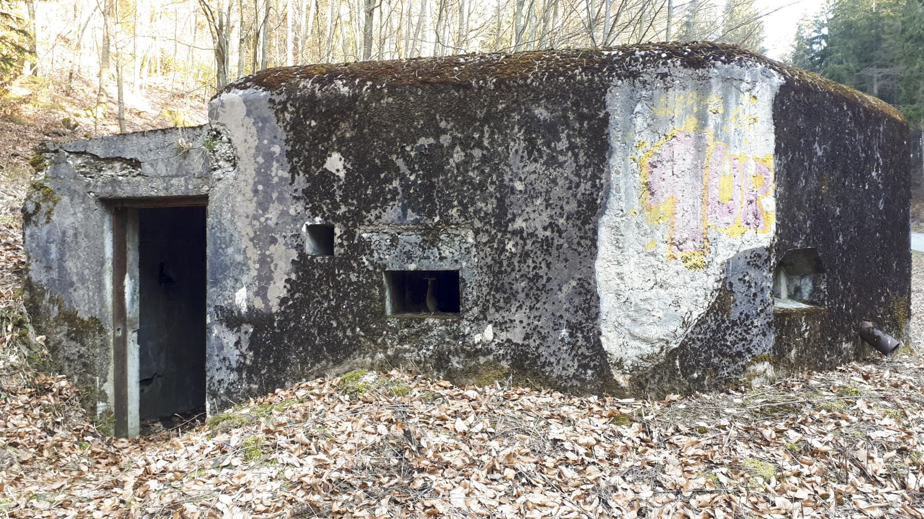 Ligne Maginot - LANGTHAL 1 - (Blockhaus pour arme infanterie) - L'entrée