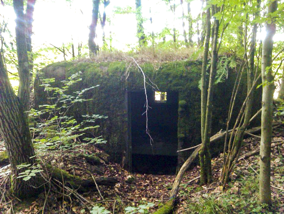 Ligne Maginot - LIES 3 (Blockhaus pour arme infanterie) - 