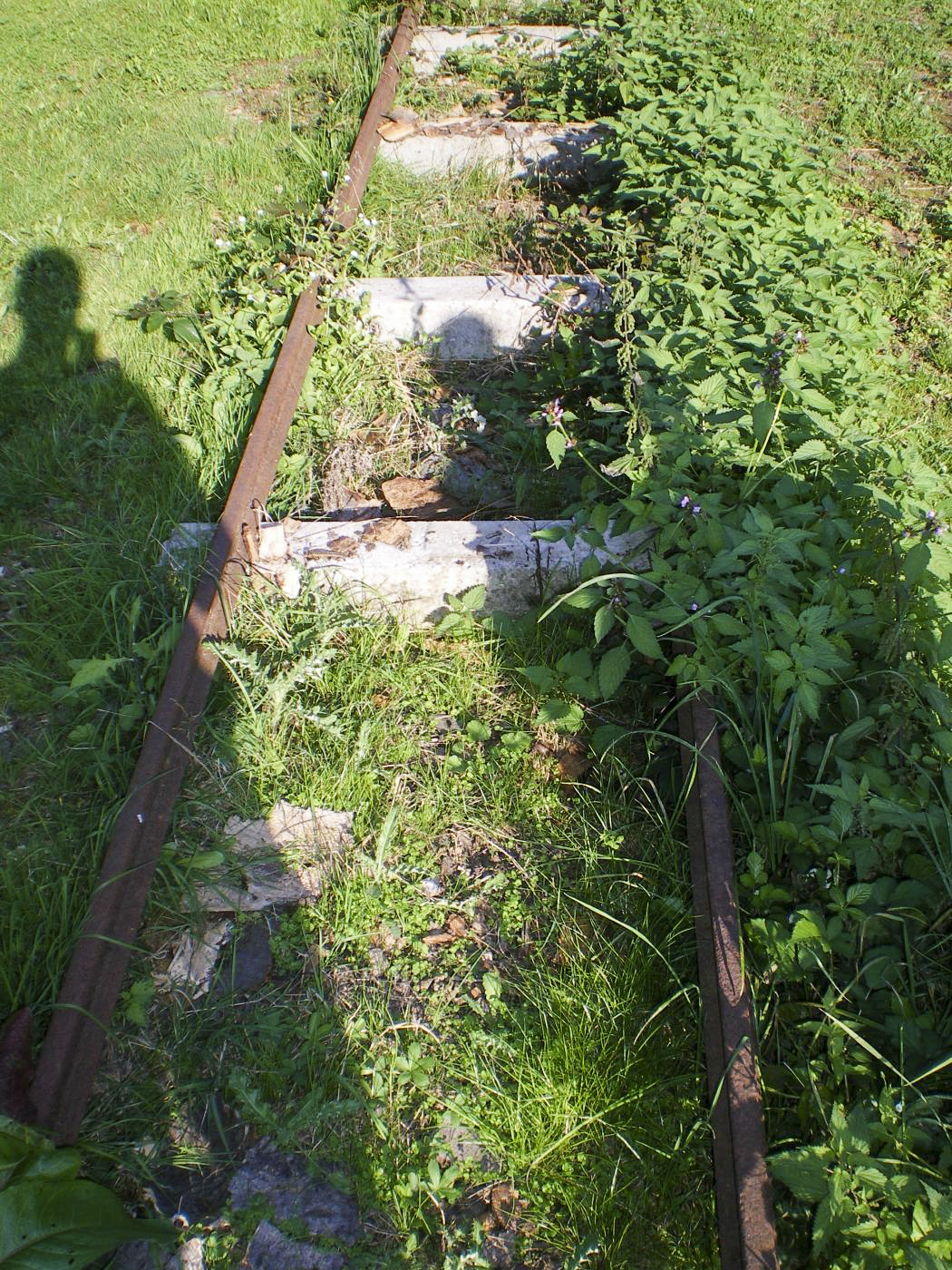 Ligne Maginot - VF60 -Antenne du Four-à-Chaux - Les rails démontés et retrouvés  a quelques pas de la ligne, utilisés pour du stockage de bois.