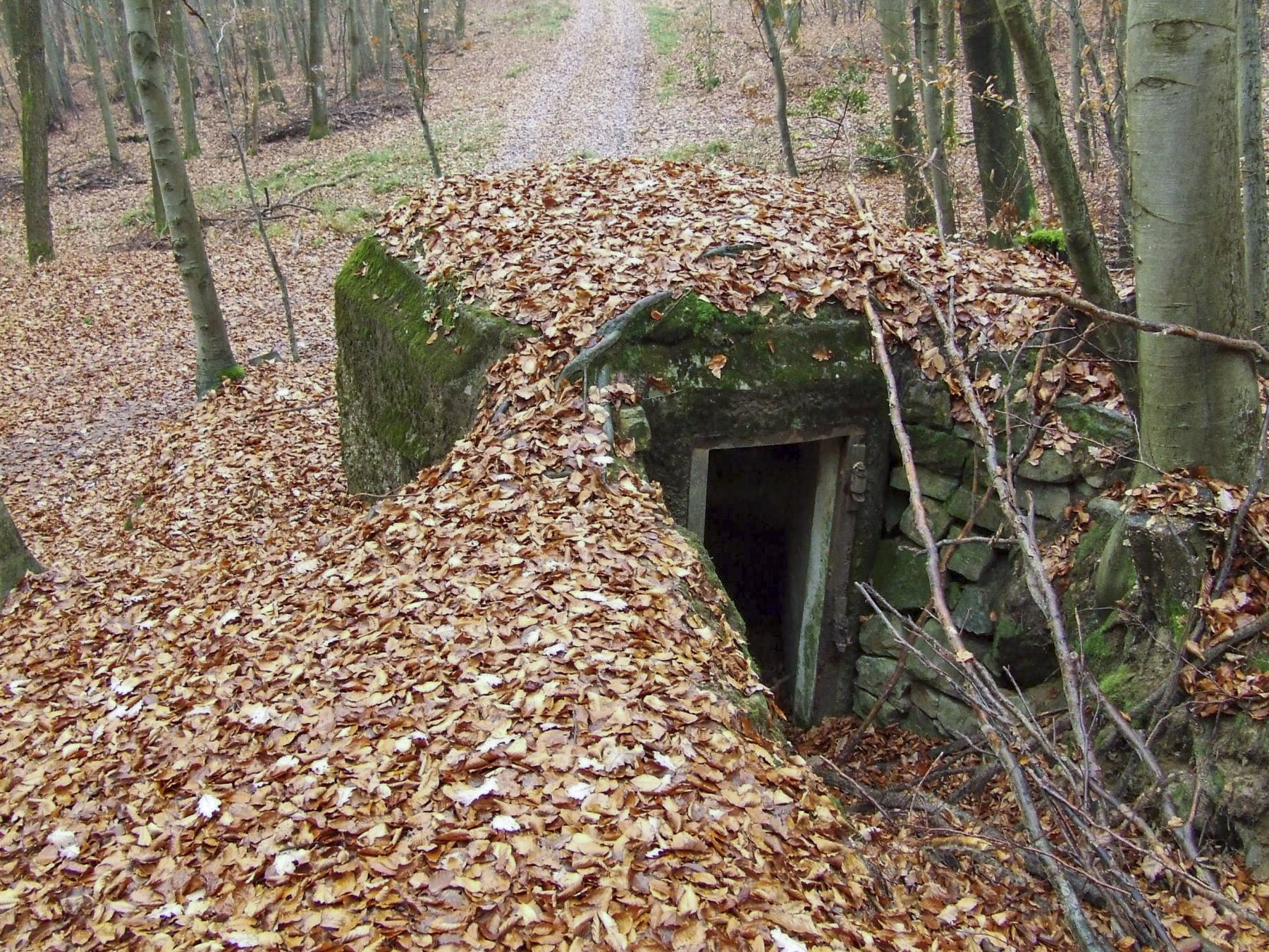 Ligne Maginot - FM54 - SCHWARTZTHAL - (Blockhaus pour arme infanterie) - L'entrée du blockhaus