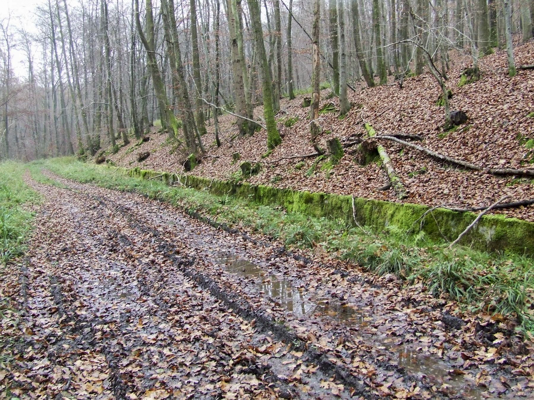 Ligne Maginot - VERLORENERBACH - (DMP - Dispositif de Mine Permanent) - La route militaire