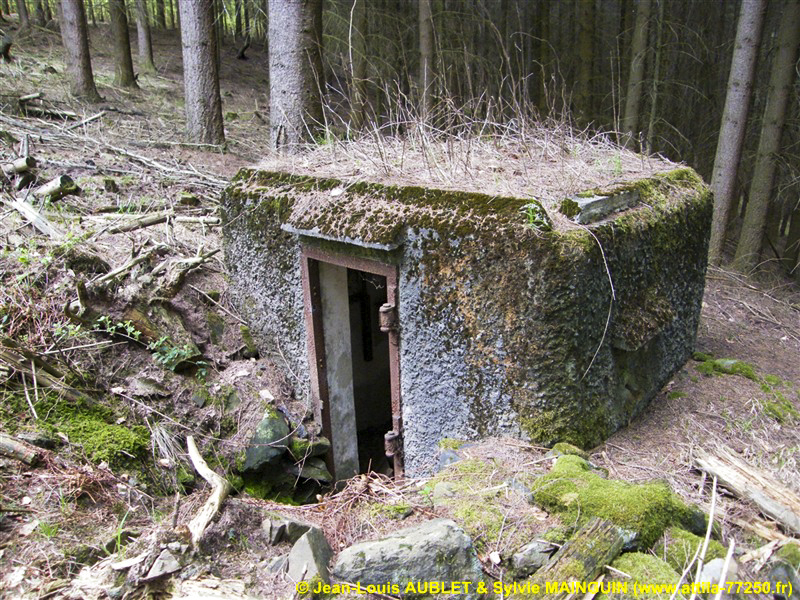 Ligne Maginot - FM24 - VOEGELSMATT 6 - (Blockhaus pour arme infanterie) - 